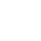 data biref white